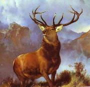 Sir edwin henry landseer,R.A. Monarch of the Glen by Sir Edwin Landseer china oil painting reproduction